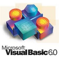 برنامهٔ استاندارد غیر نصبی ویژوال بیسیک نسخه ۶